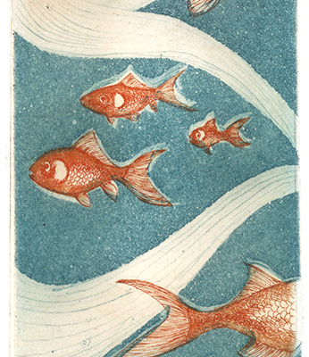 Acquario (foglio 25x35